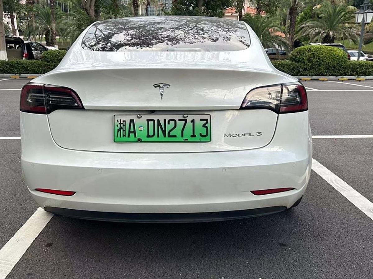 特斯拉 Model 3  2020款 改款 長續(xù)航后輪驅(qū)動(dòng)版圖片