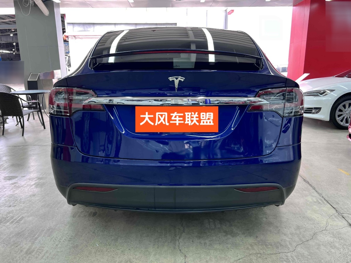 特斯拉 Model X  2019款 長續(xù)航版圖片