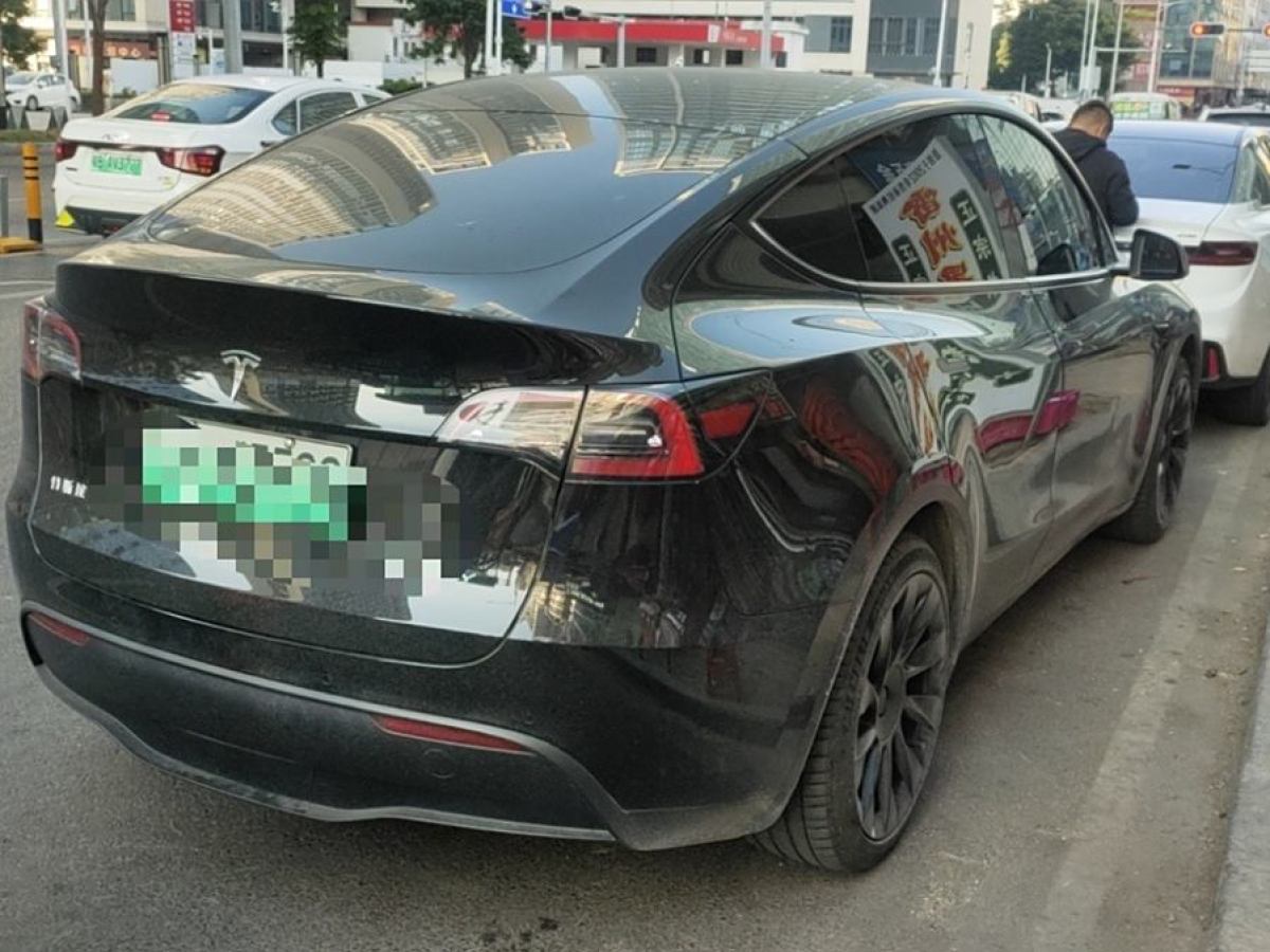 特斯拉 Model 3  2020款 改款 長續(xù)航后輪驅動版圖片