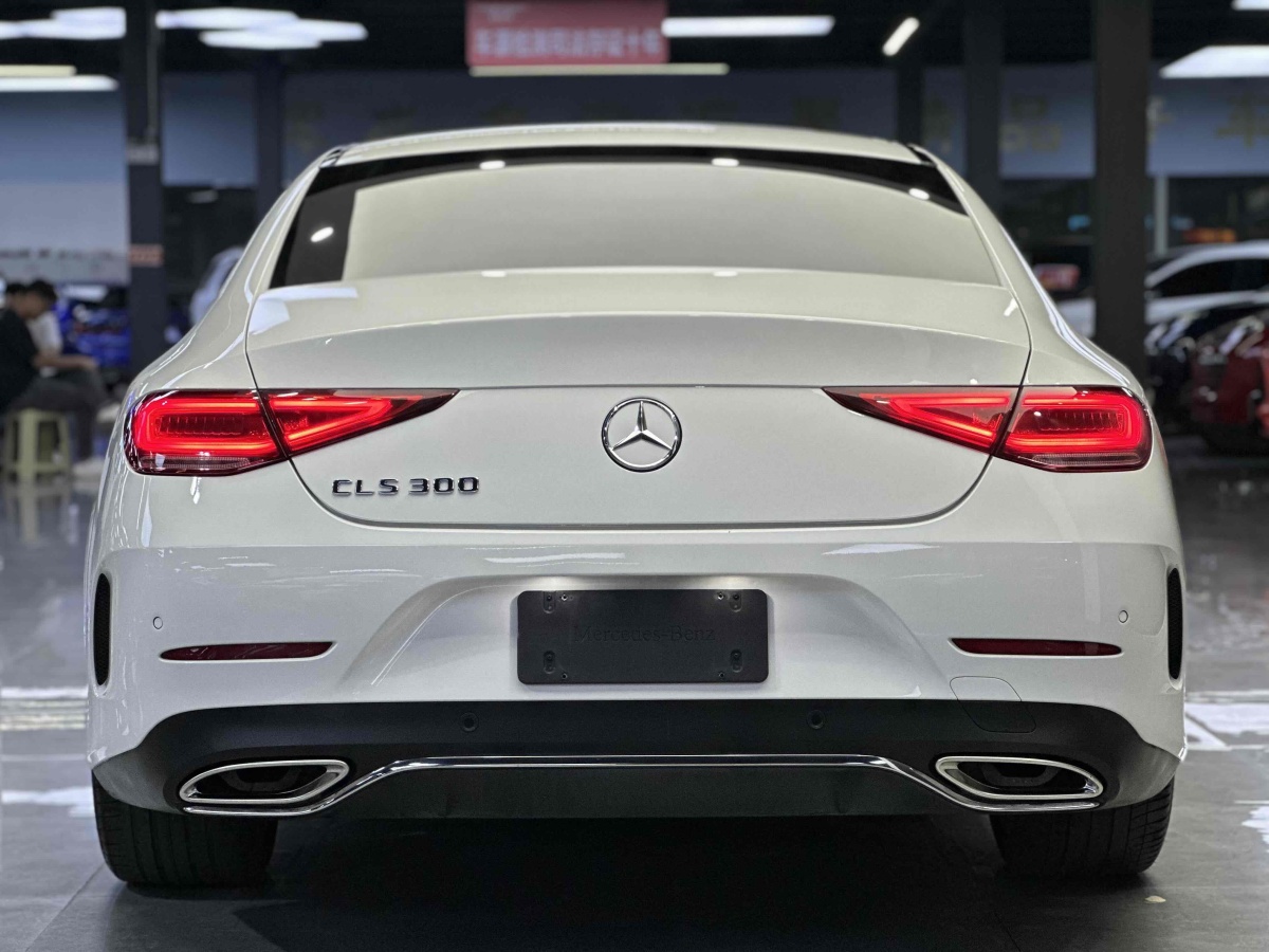 奔馳 奔馳CLS級(jí)  2018款 CLS 300 豪華型圖片