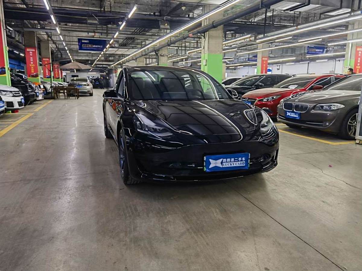 特斯拉 Model 3  2020款 改款 標(biāo)準(zhǔn)續(xù)航后驅(qū)升級(jí)版圖片