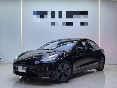 2021年3月 特斯拉 Model 3 標準續(xù)航后驅升級版圖片