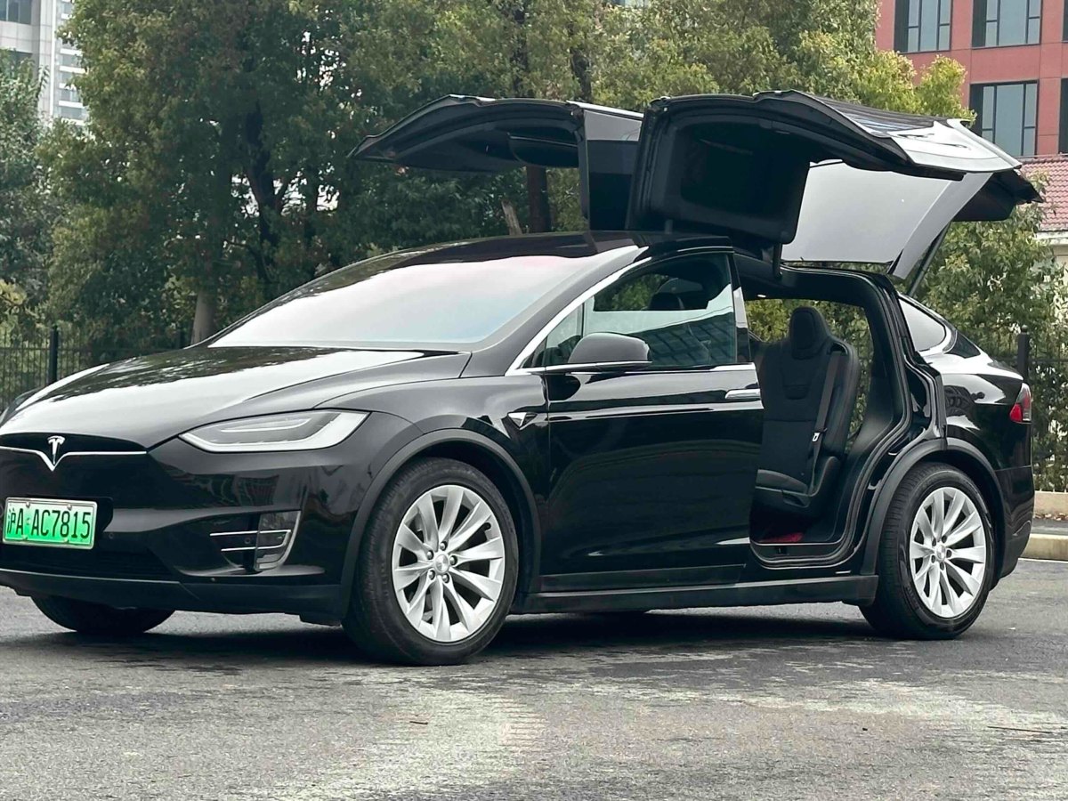 特斯拉 Model X  2016款 Model X 75D圖片