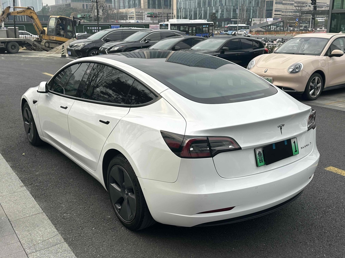 特斯拉 Model 3  2021款 標(biāo)準(zhǔn)續(xù)航后驅(qū)升級版 3D6圖片