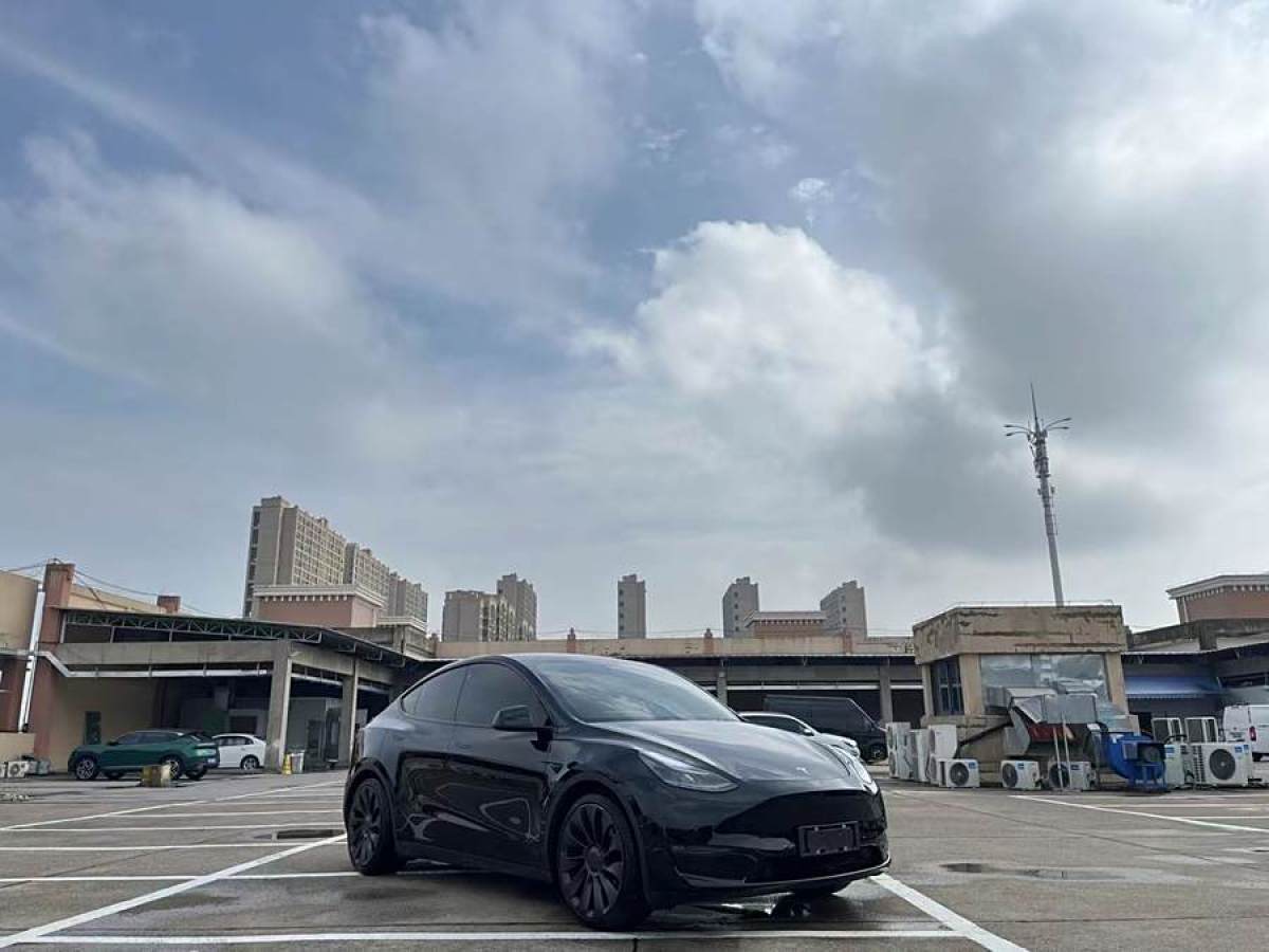 特斯拉 Model 3  2021款 改款 Performance高性能全輪驅(qū)動(dòng)版圖片