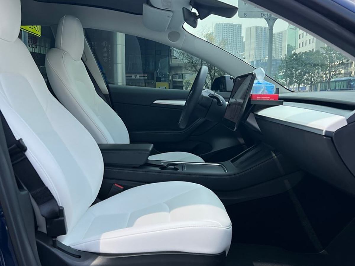 特斯拉 Model Y  2021款 Performance高性能全輪驅(qū)動(dòng)版圖片