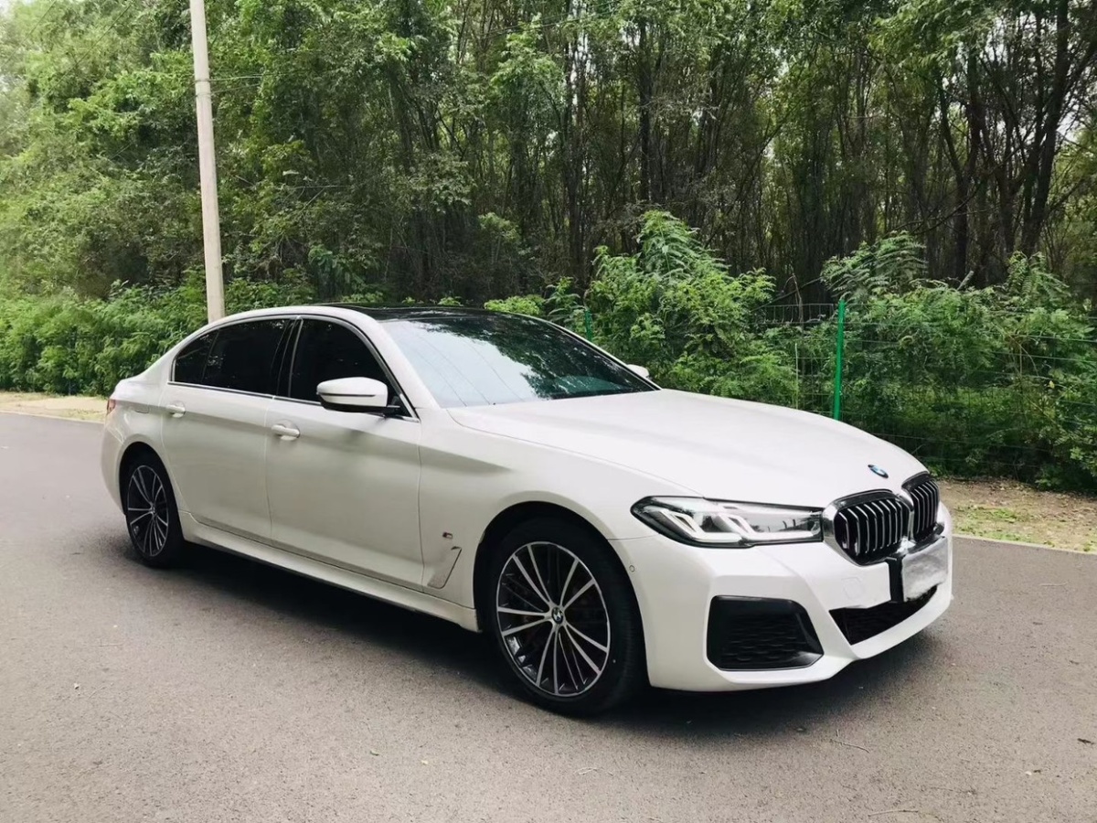 宝马 宝马5系  2021款 530Li xDrive M运动套装图片