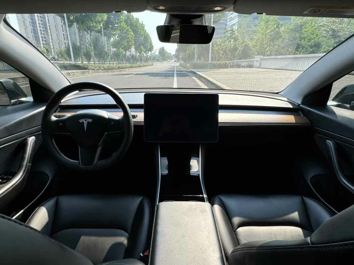 特斯拉 Model 3  2020款 Performance高性能全輪驅(qū)動版圖片