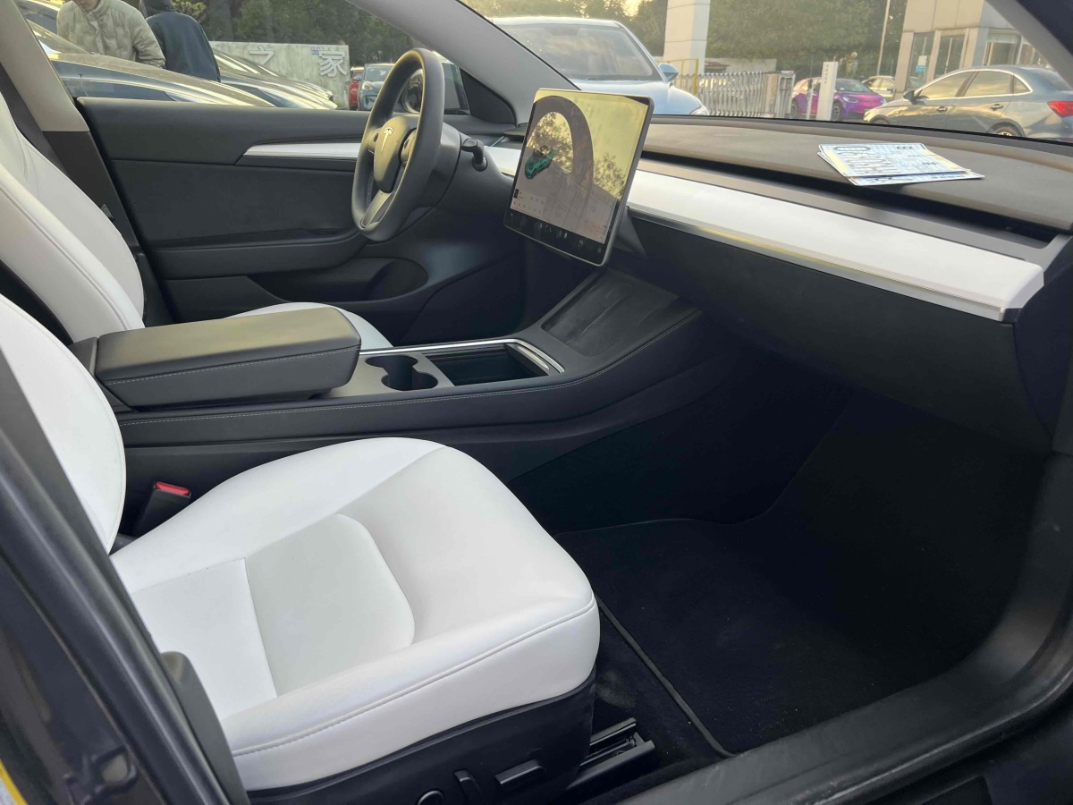 特斯拉 Model Y  2021款 Performance高性能全輪驅(qū)動(dòng)版圖片