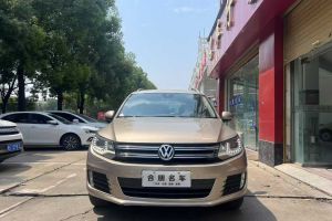 途觀 大眾 1.8TSI 自動(dòng)兩驅(qū)30周年紀(jì)念版