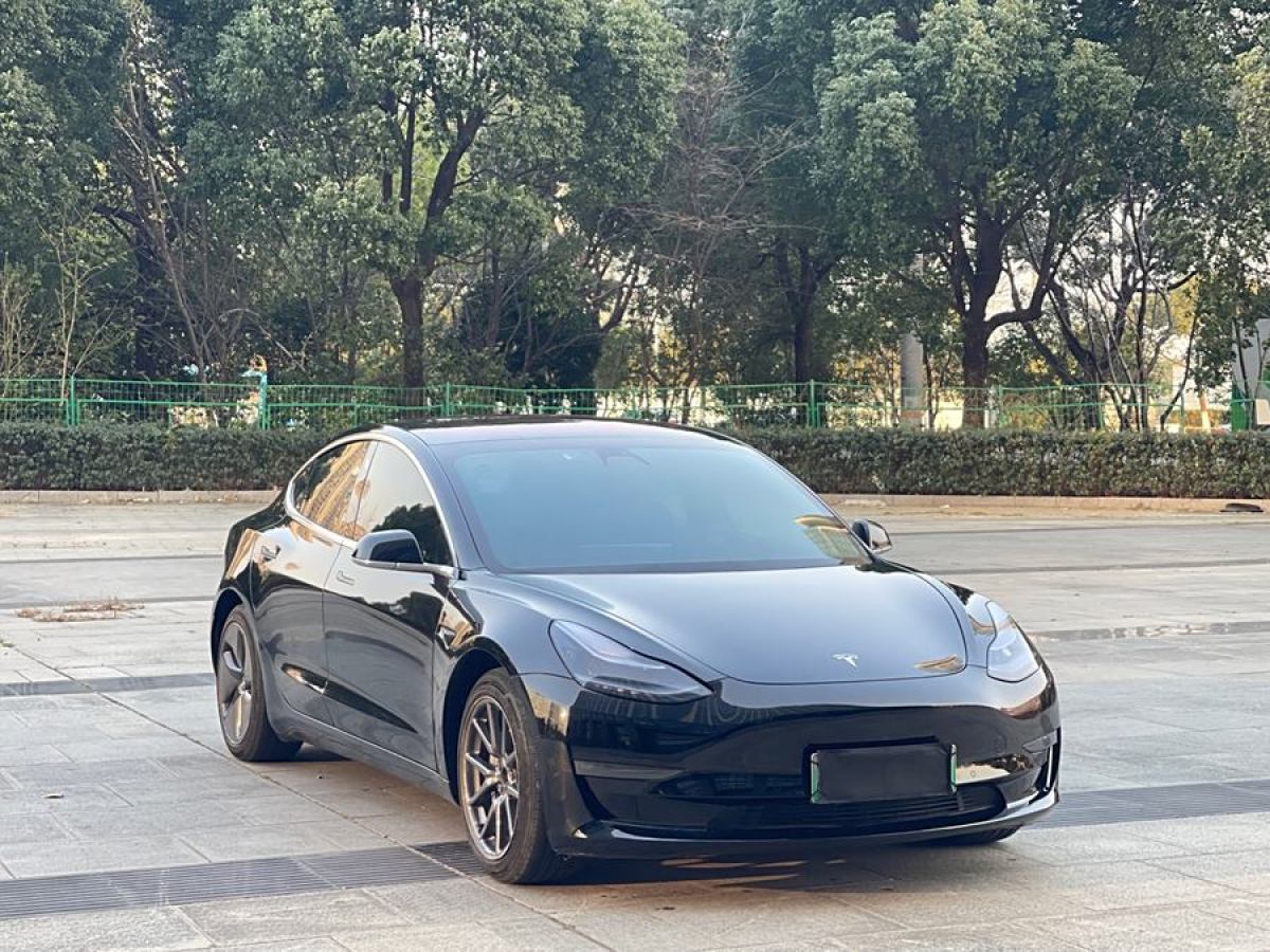 特斯拉 Model 3  2019款 長(zhǎng)續(xù)航后驅(qū)版圖片