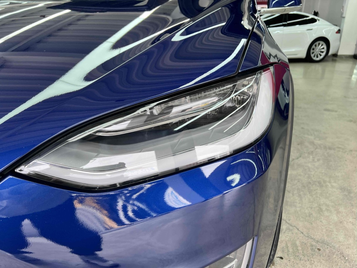 特斯拉 Model X  2019款 長續(xù)航版圖片