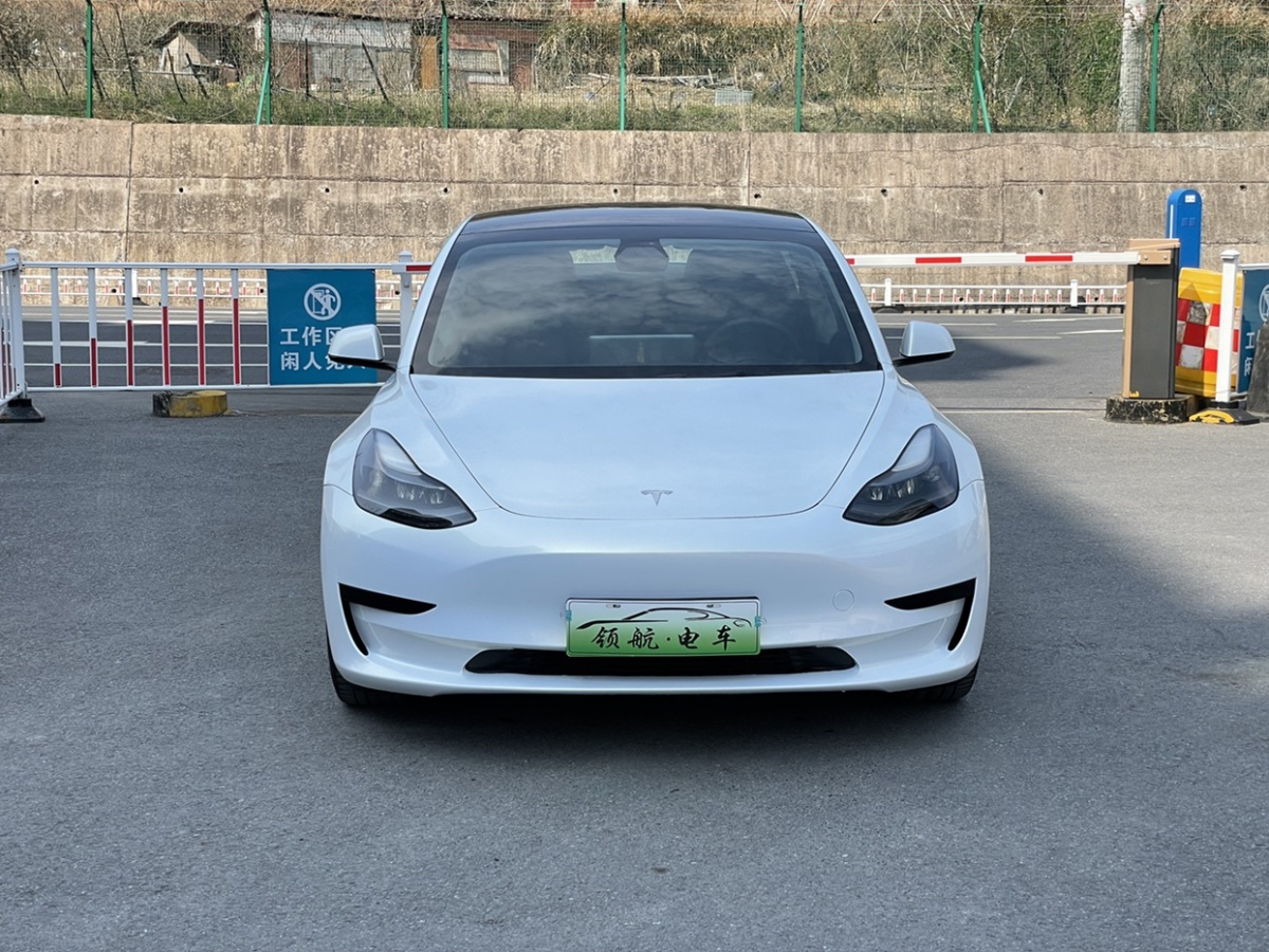 特斯拉 Model 3  2021款 標(biāo)準(zhǔn)續(xù)航后驅(qū)升級(jí)版圖片