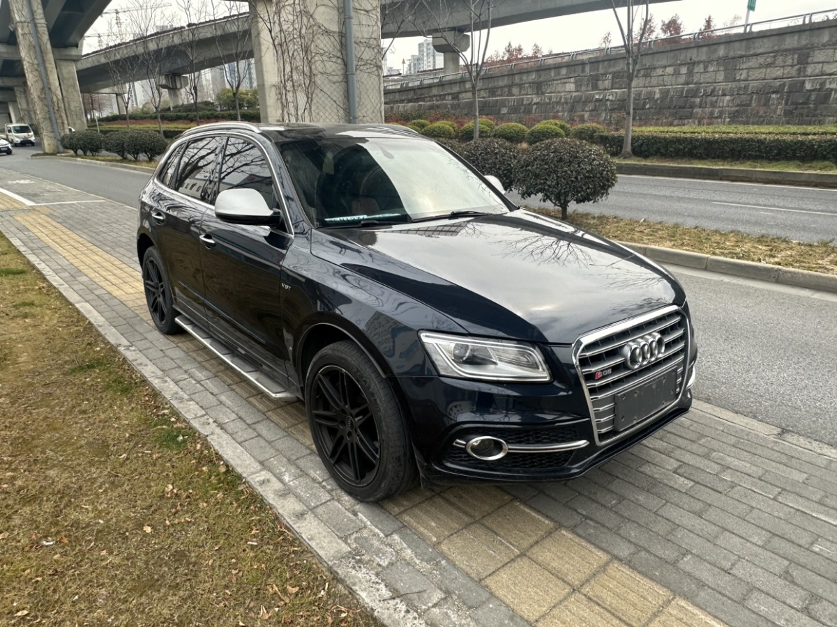 奧迪 奧迪SQ5  2017款 SQ5 3.0 TFSI quattro圖片