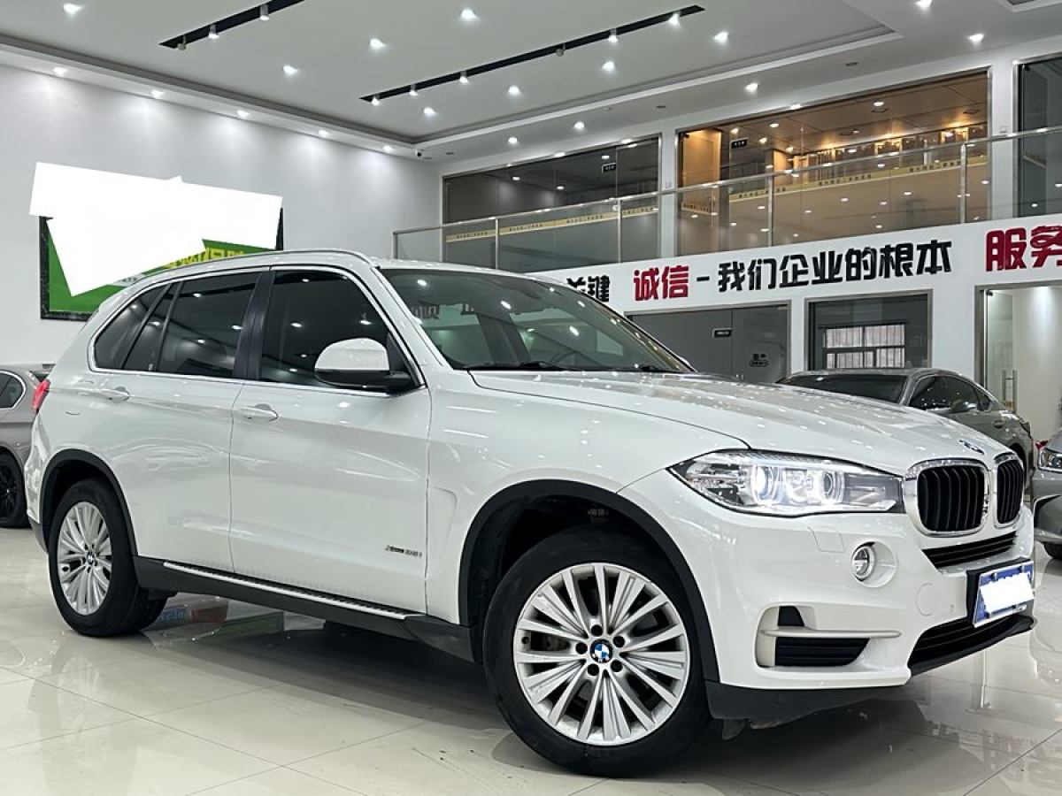 寶馬 寶馬X5  2014款 xDrive35i 領(lǐng)先型圖片