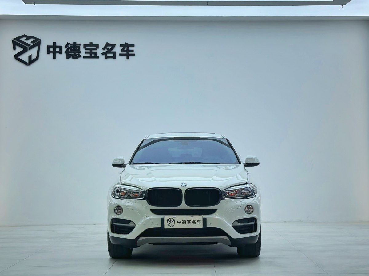 寶馬 寶馬X6  2018款 xDrive35i 領先型圖片