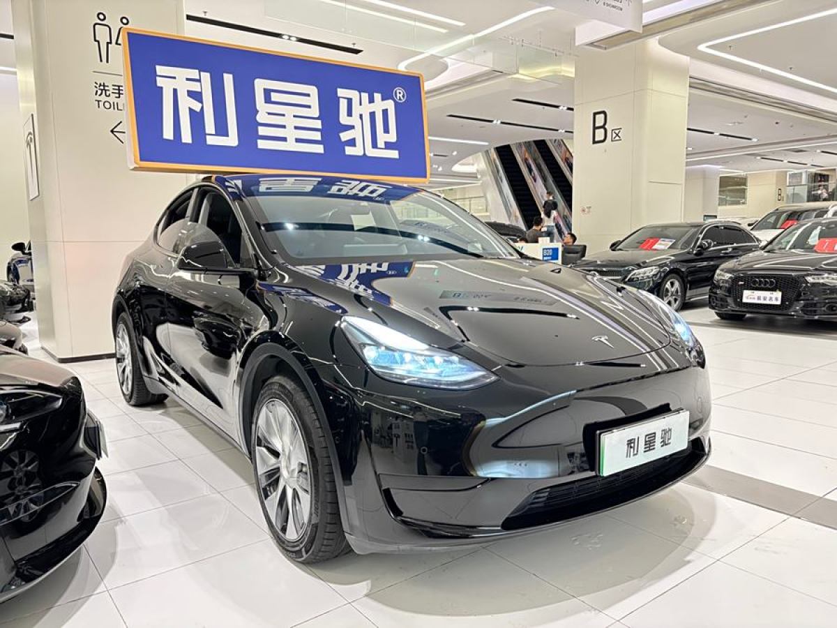 特斯拉 Model Y  2020款 改款 長續(xù)航后輪驅(qū)動(dòng)版圖片