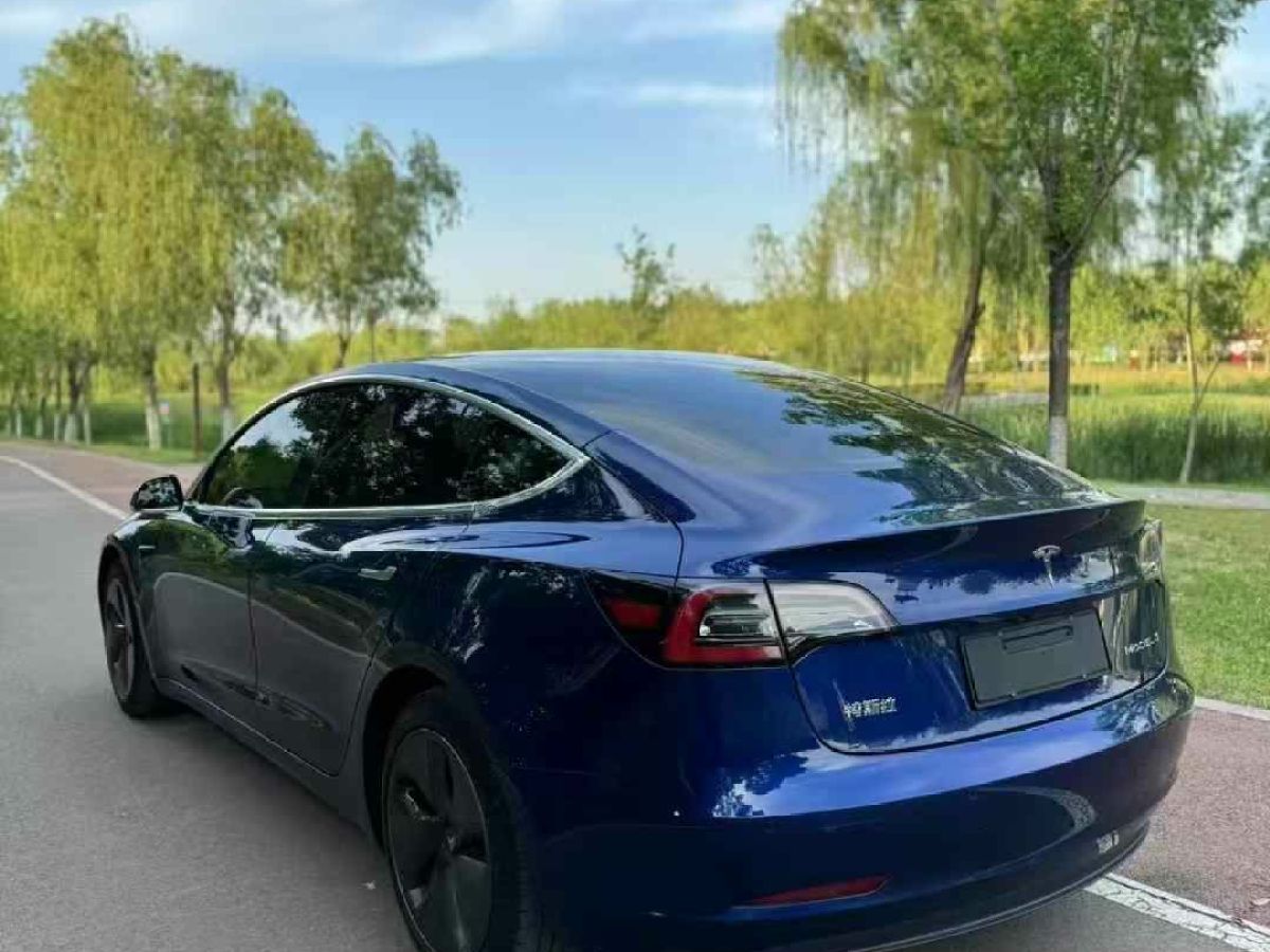 特斯拉 Model 3  2020款 標(biāo)準(zhǔn)續(xù)航后驅(qū)升級(jí)版圖片