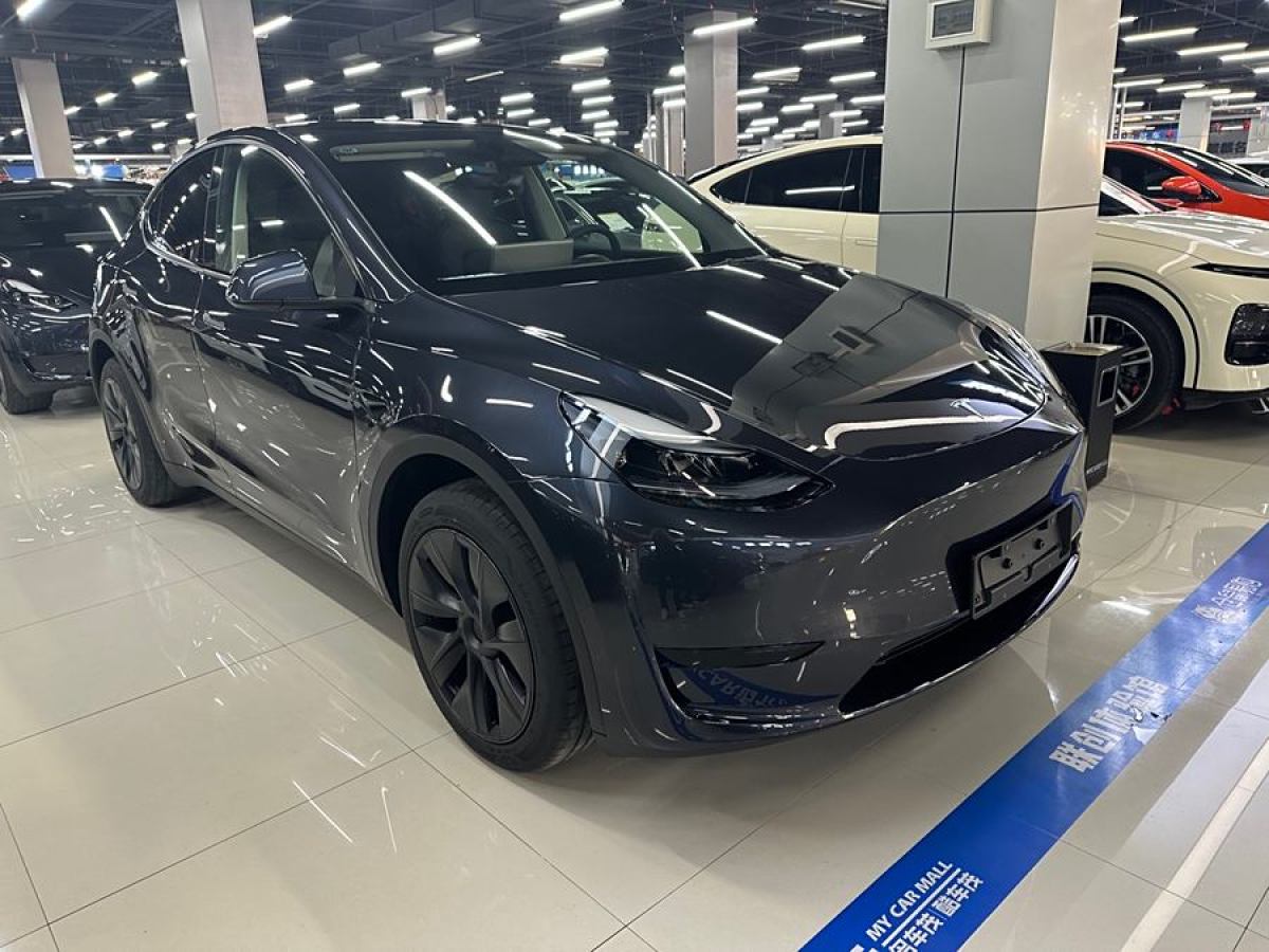 特斯拉 Model 3  2020款 改款 長續(xù)航后輪驅(qū)動(dòng)版圖片