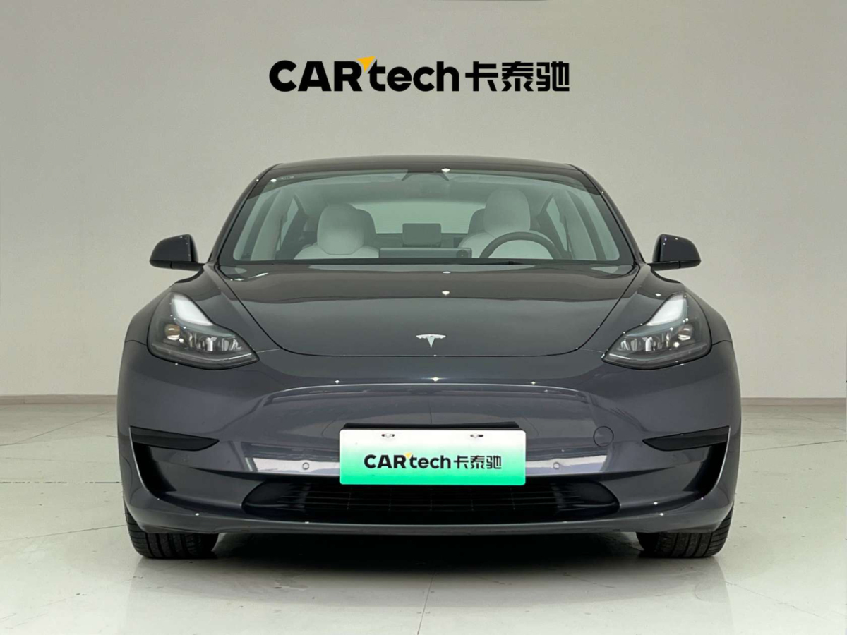 特斯拉 Model 3  2022款 后輪驅(qū)動(dòng)版圖片