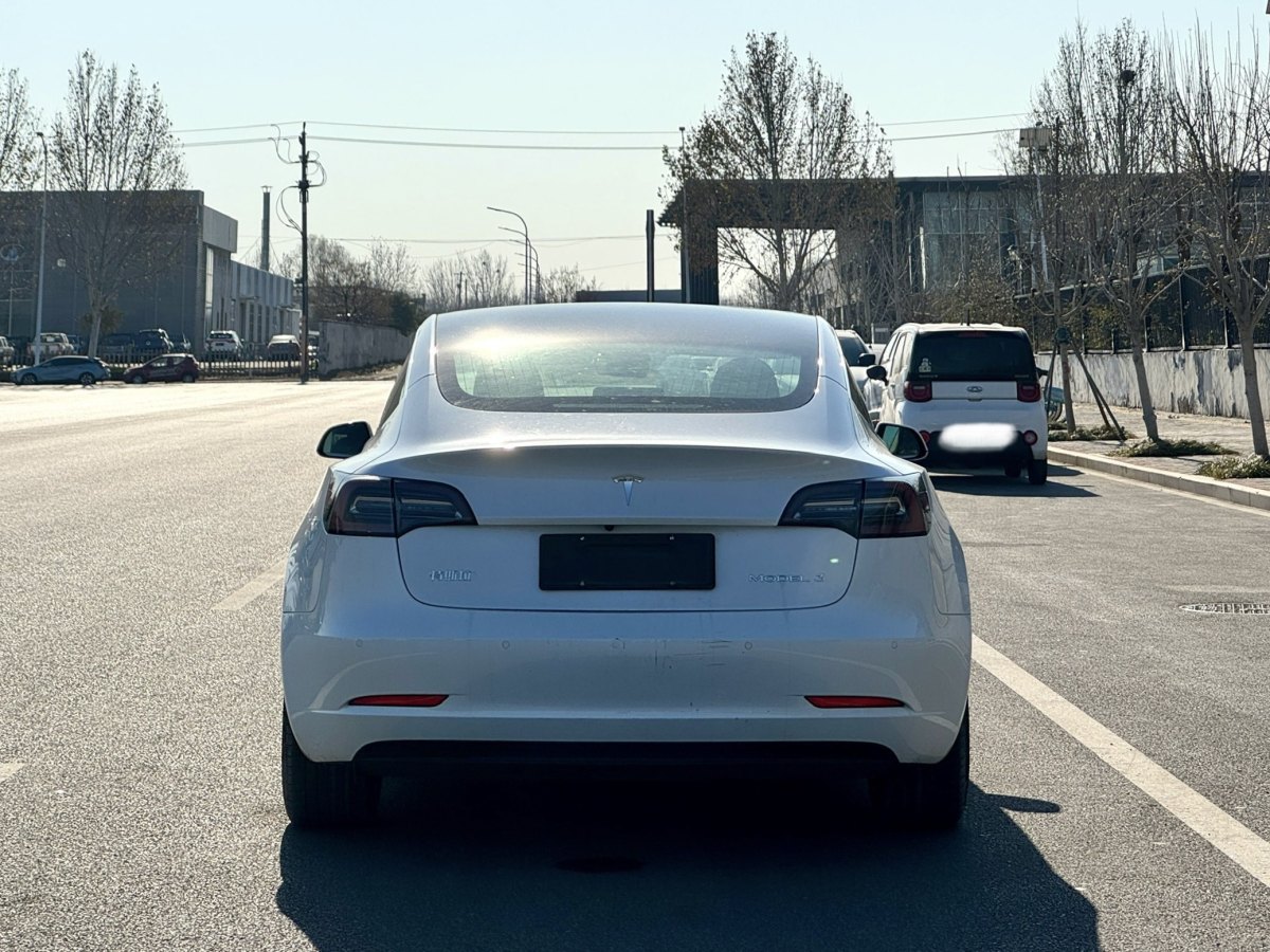 特斯拉 Model 3  2019款 標(biāo)準(zhǔn)續(xù)航后驅(qū)升級(jí)版圖片