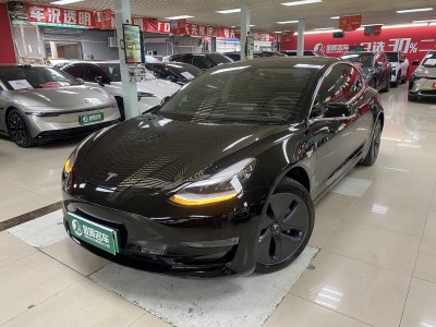 2020年7月 特斯拉 Model 3 改款 長續(xù)航后輪驅(qū)動版圖片