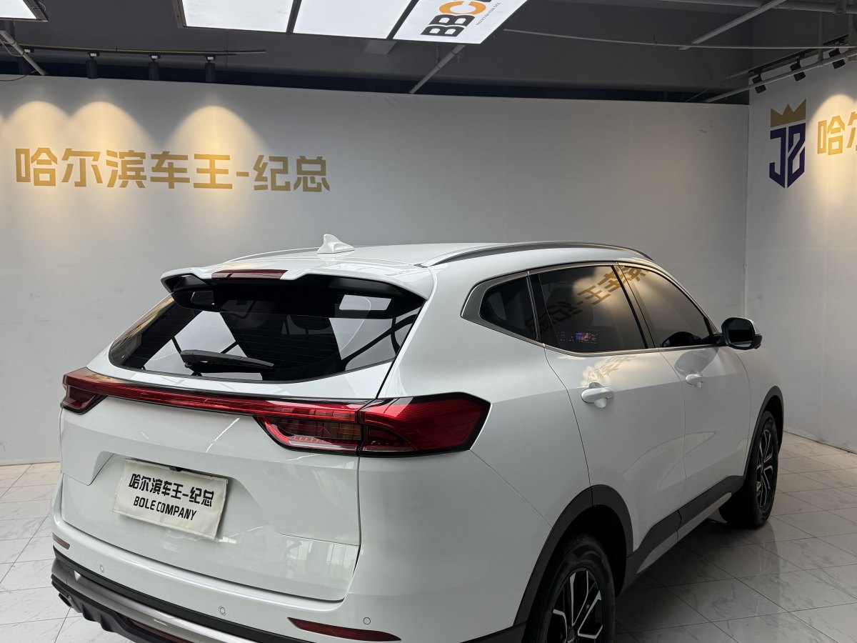 2023年6月哈弗 H6  2023款 國(guó)潮版 1.5T 自動(dòng)都市版