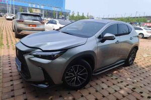 NX 雷克薩斯 260 前驅(qū) 創(chuàng)享版