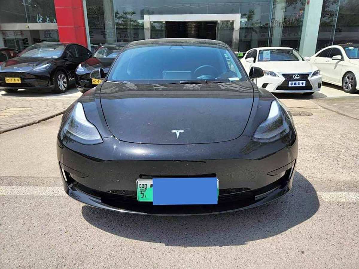 特斯拉 Model 3  2021款 Performance高性能全輪驅(qū)動(dòng)版圖片