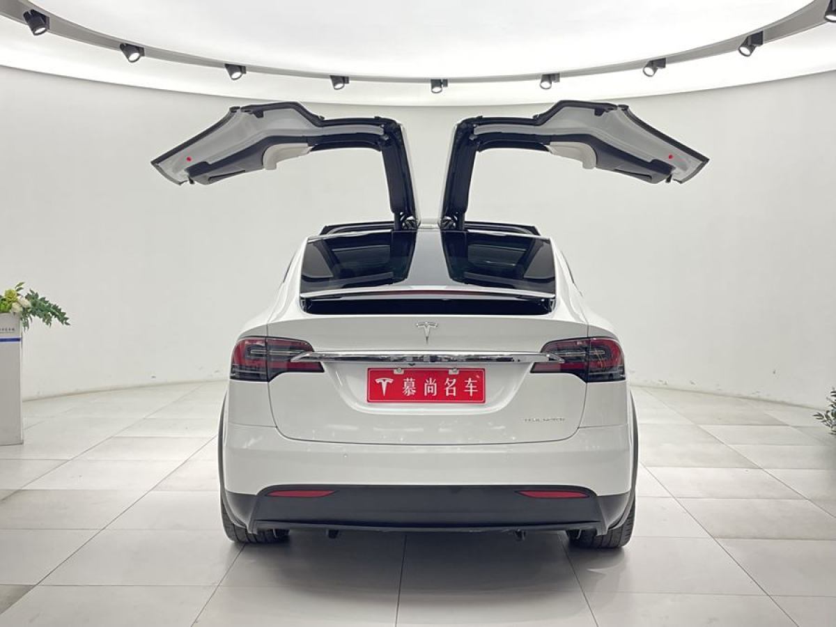 特斯拉 Model X  2019款 長續(xù)航版圖片