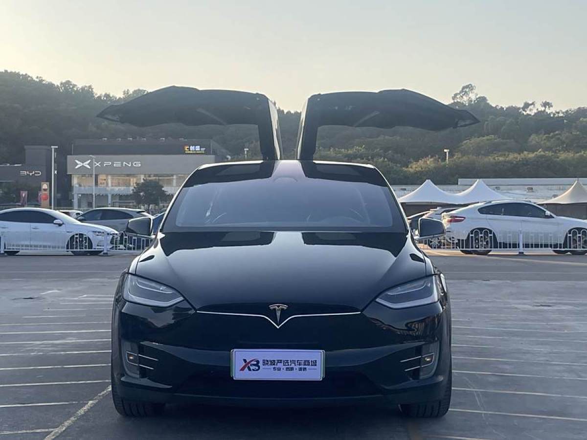 特斯拉 Model X  2017款 Model X 100D 長續(xù)航版圖片