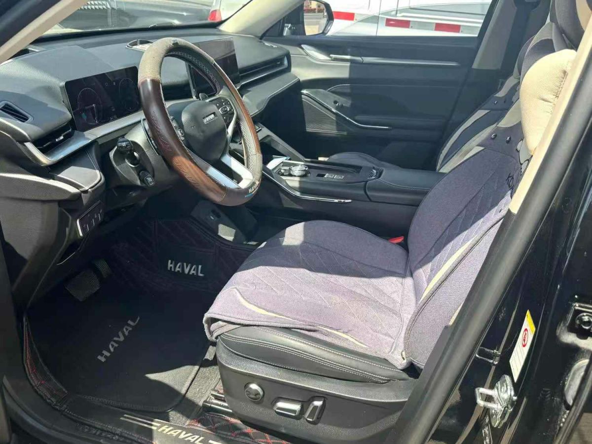 哈弗 H6  2023款 國潮版 1.5T 自動冠軍版圖片