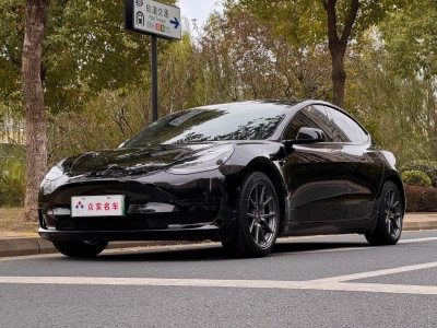 2020年7月 特斯拉 Model 3 標(biāo)準(zhǔn)續(xù)航后驅(qū)升級版圖片