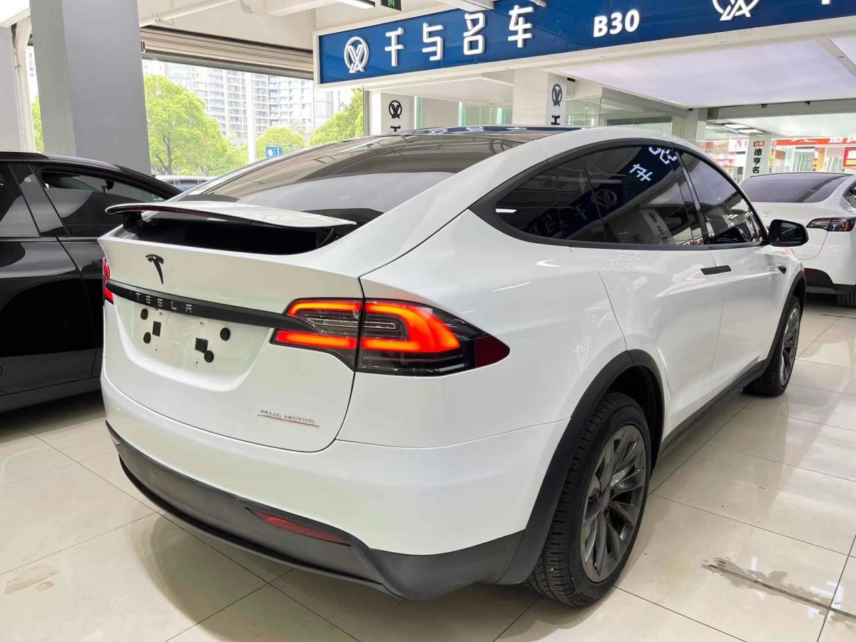 特斯拉 Model X  2019款 長續(xù)航版圖片