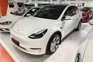 Model Y 特斯拉 改款 長續(xù)航全輪驅(qū)動版