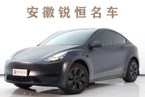 Model Y 特斯拉 改款 长续航后轮驱动版