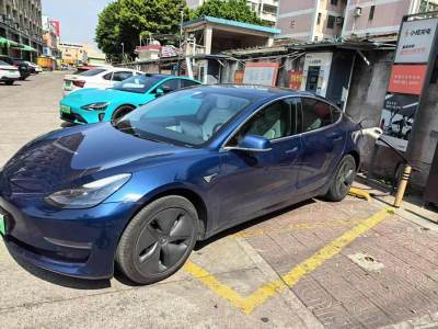 2020年12月 特斯拉 Model 3 改款 長續(xù)航后輪驅(qū)動版圖片