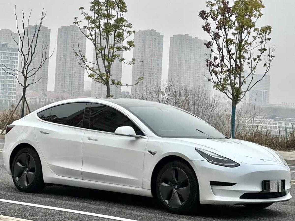 特斯拉 Model 3  2020款 改款 標準續(xù)航后驅(qū)升級版圖片