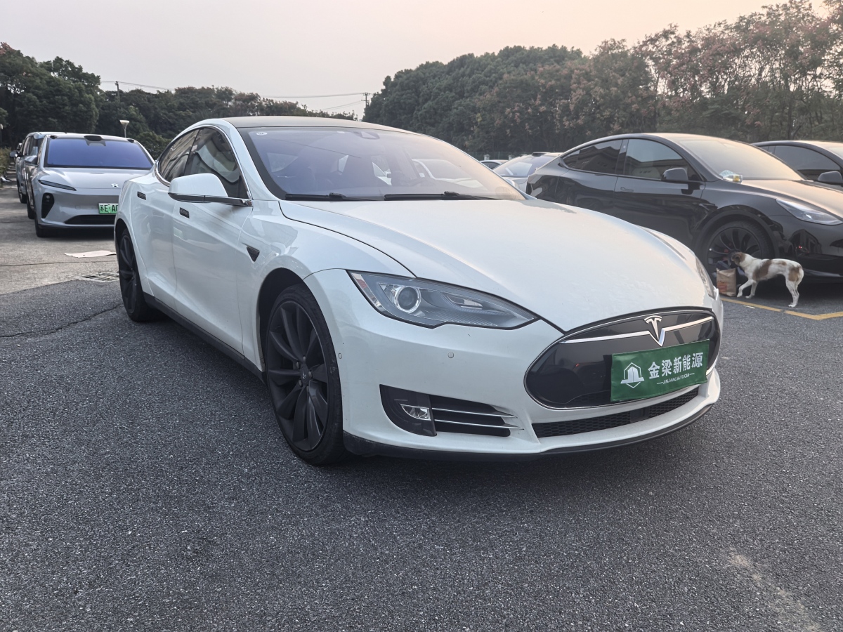 特斯拉 Model S  2014款 Model S 85圖片