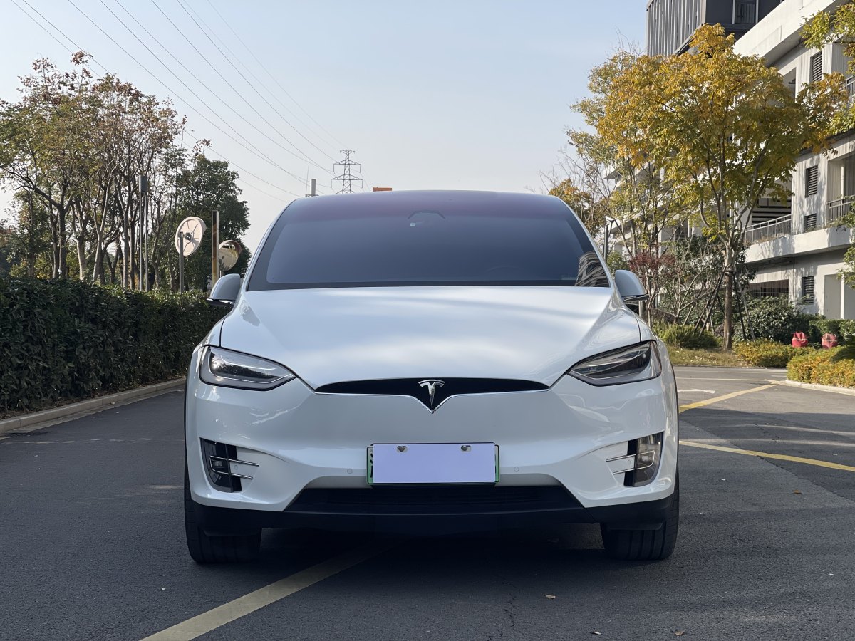 特斯拉 Model X  2019款 標(biāo)準(zhǔn)續(xù)航版圖片