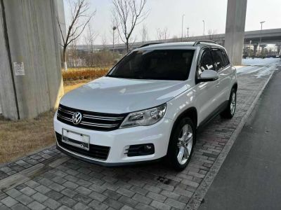 2012年1月 大眾 途歡(進口) 2.0 TDI 舒適版圖片