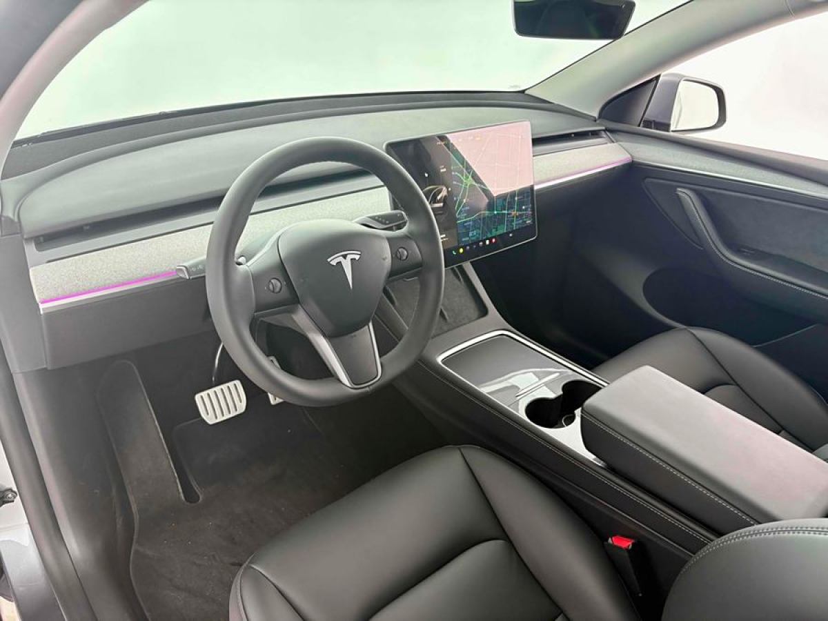 特斯拉 Model 3  2021款 改款 Performance高性能全輪驅(qū)動(dòng)版圖片