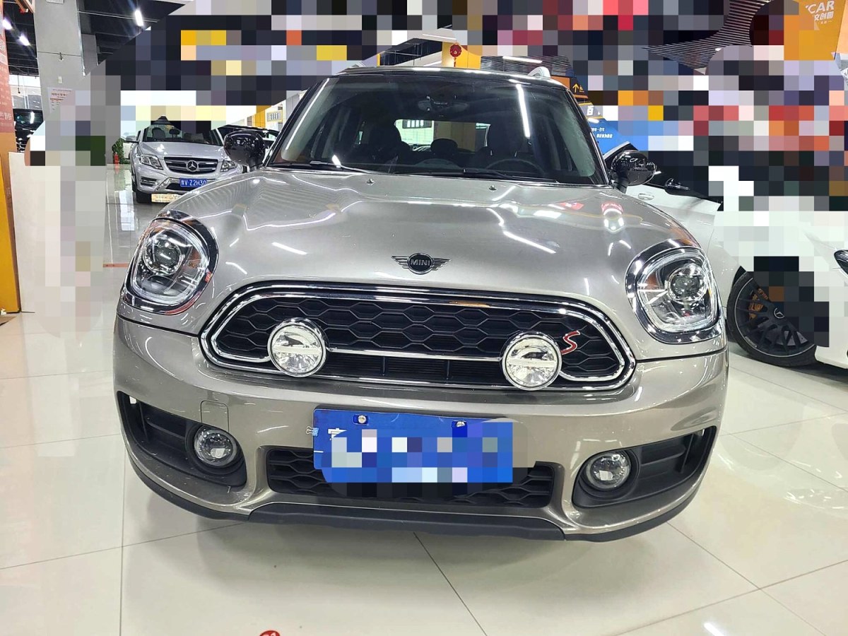 MINI COUNTRYMAN  2019款 2.0T COOPER S ALL4 艺术家图片