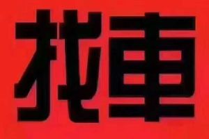 Sport 奧迪RS Q8 奧迪 RS Q8 4.0T