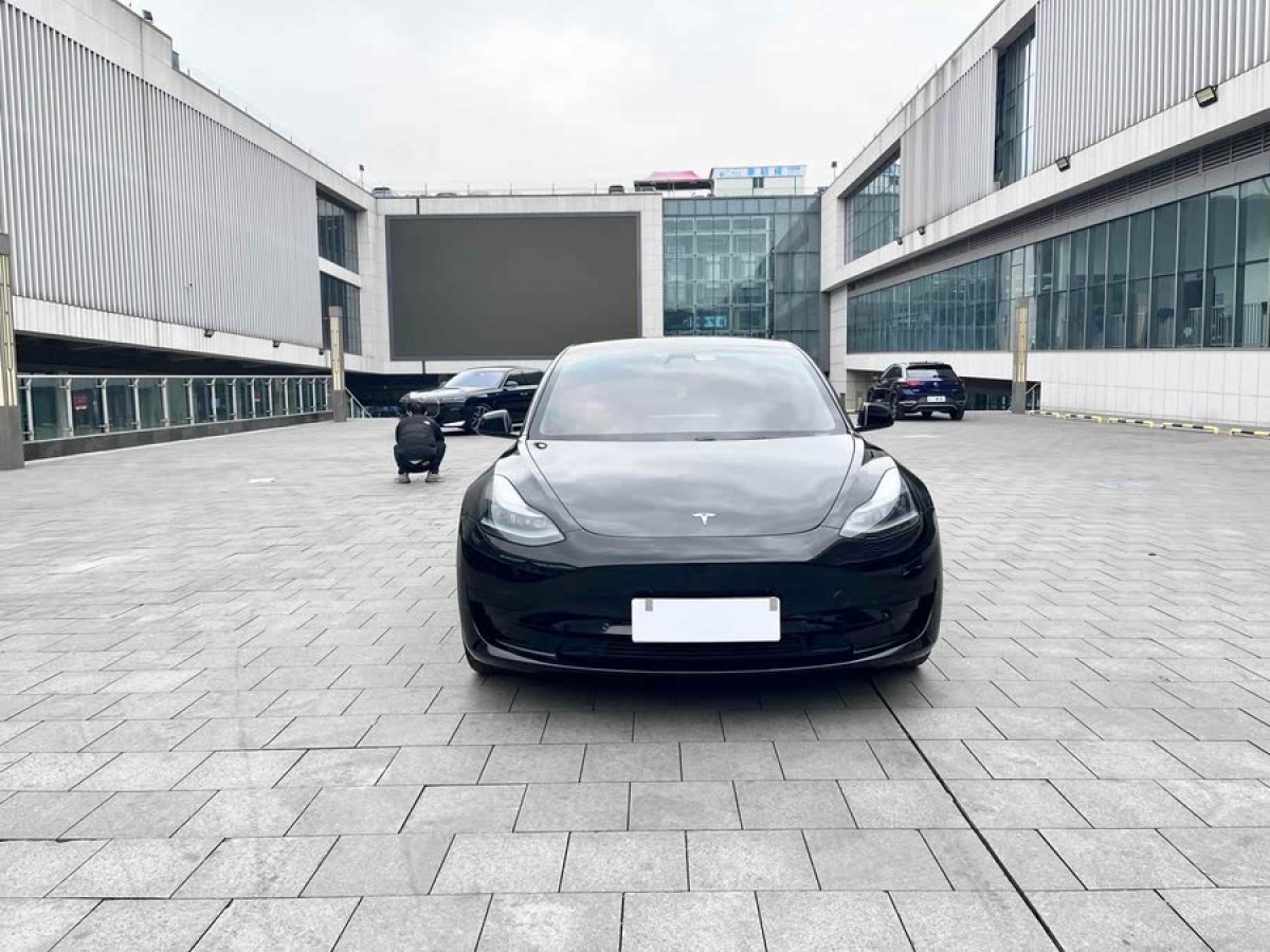特斯拉 Model 3  2021款 改款 標(biāo)準(zhǔn)續(xù)航后驅(qū)升級版圖片