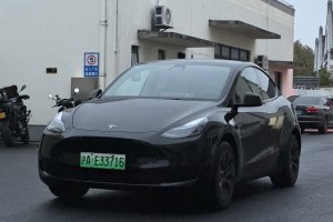 Model Y 特斯拉 煥新版 后輪驅(qū)動(dòng)