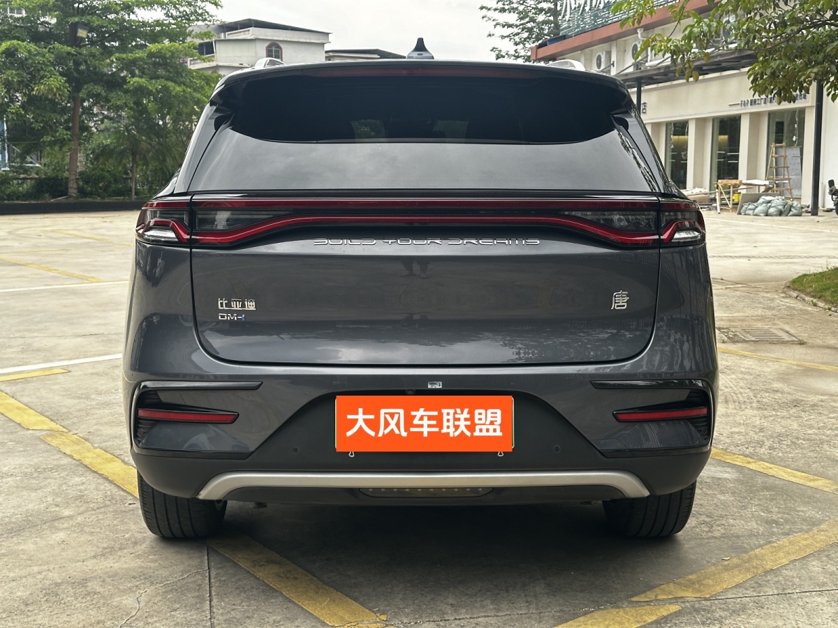 比亞迪 唐新能源  2021款 DM-i 112KM 尊榮型圖片