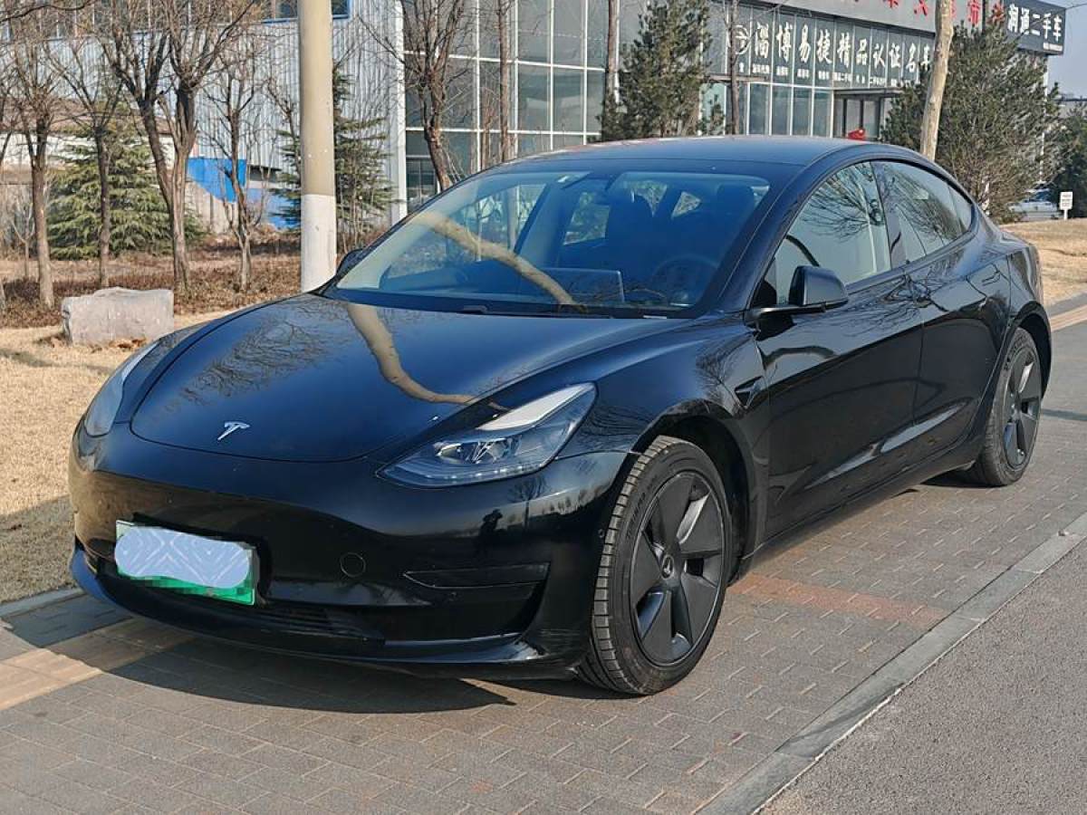 2021年3月特斯拉 Model 3  2021款 改款 標準續(xù)航后驅(qū)升級版