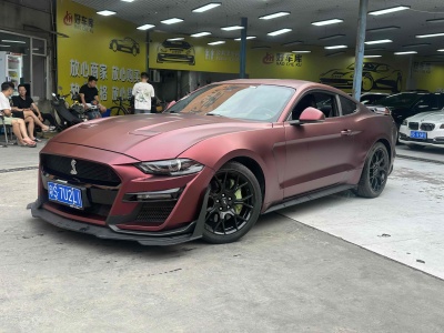 2019年2月 福特 Mustang(進(jìn)口) 2.3L EcoBoost圖片