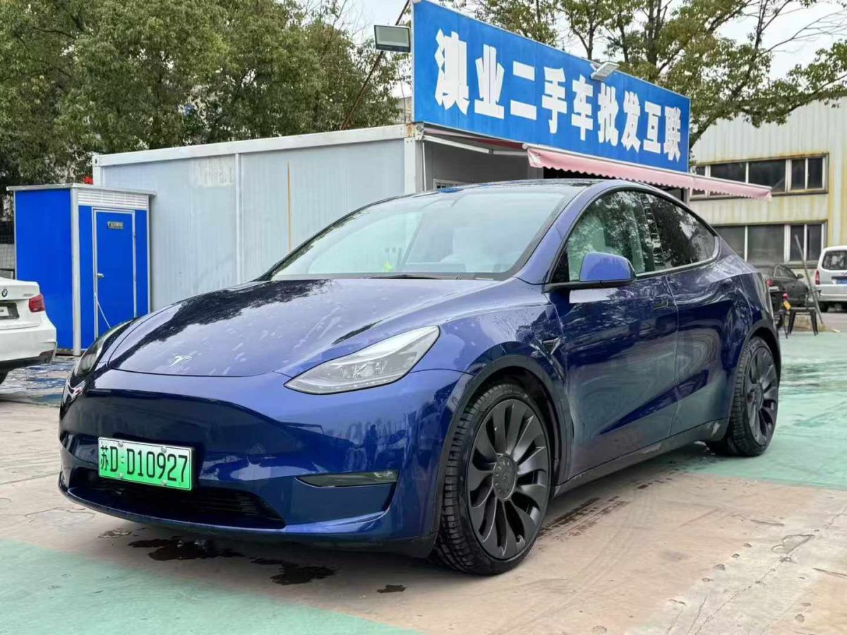 特斯拉 Model 3  2022款 Performance高性能全輪驅(qū)動版圖片